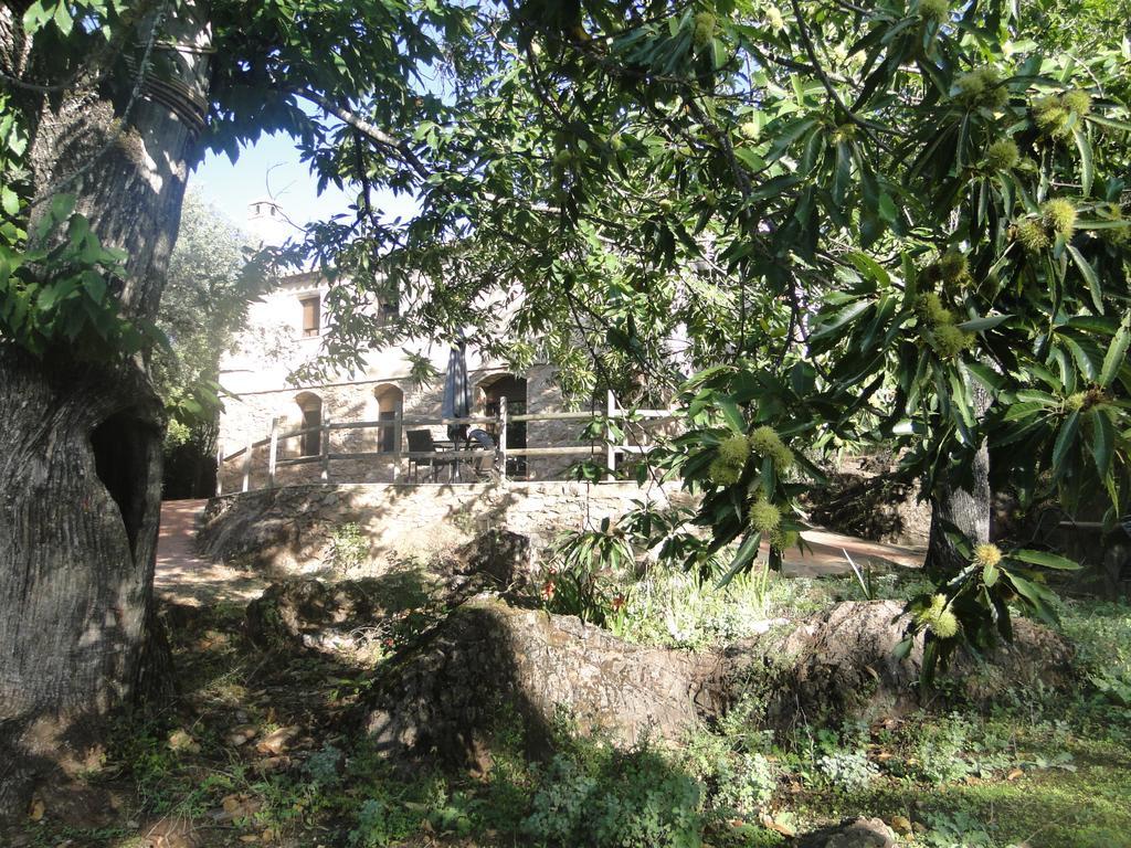 Finca La Colora Fuenteheridos Luaran gambar